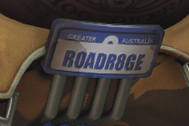 Overwatch Roadhog nod to Mad Max